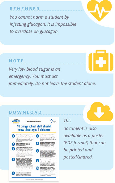 Diabetesatschool sidebar